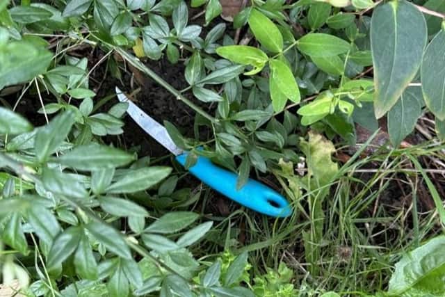 This knife hidden in the undergrowth was reportedly discovered by children last week.
