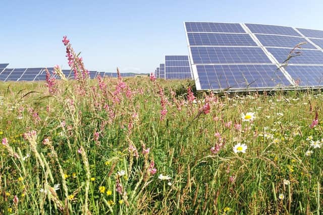 Solar panels in a lower-filled meadow.