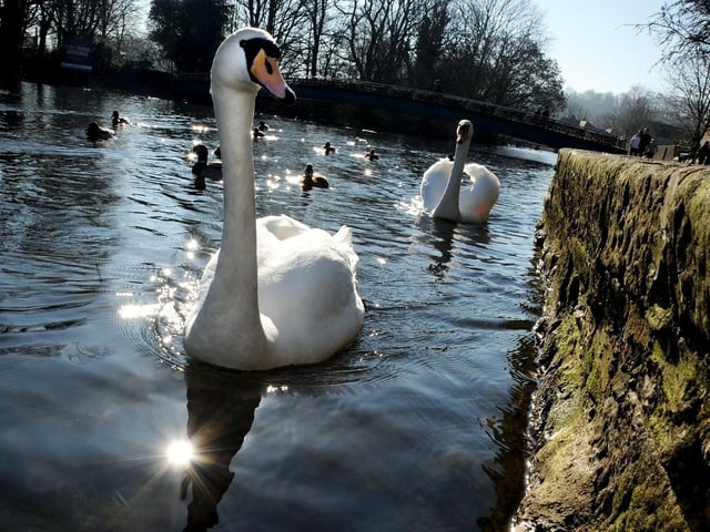 A day out in Bakewell was a popular choice among our readers.