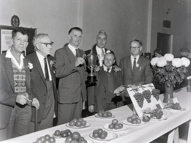 Ripley allotments show winners, October 1966.