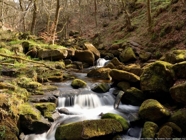 Grindleford is perfect for anyone wanting to combine stunning scenery and fascinating history. Walkers can follow Padley Gorge up onto the moors, before taking in the scenery at Surprise View and looping back round to Grindleford Station. The walk can also be combined with a visit to Padley Chapel, a Grade I listed building located at the site where the ‘Padley Martyrs’ - two Catholic priests who were executed for treason - were discovered in 1588.