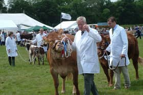 Livestock displays will be back at Derbyshire County Show this summer.