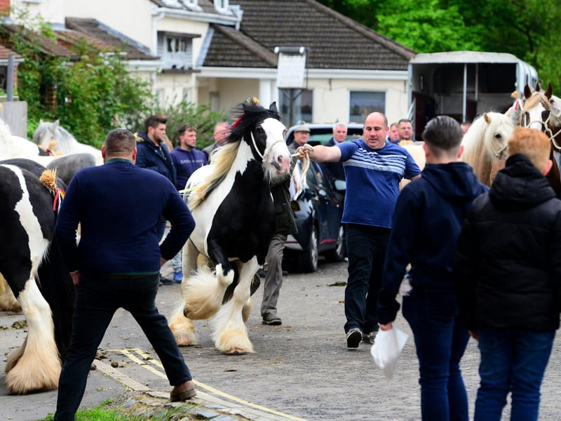 A large crowd turned up for the Wickham Horse Fair today despite it being cancelled. Picture: Roger Arbon/Solent News & Photo Agency