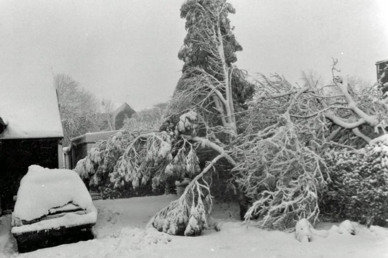 Heavy snow covers car and trees in Codnor