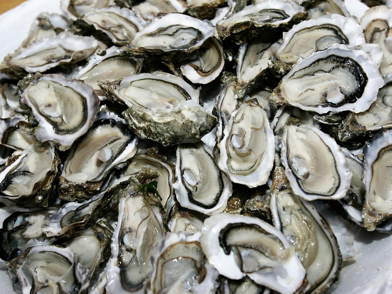 Donald Walker says there's "nothing to beat" Lochryan Oysters.