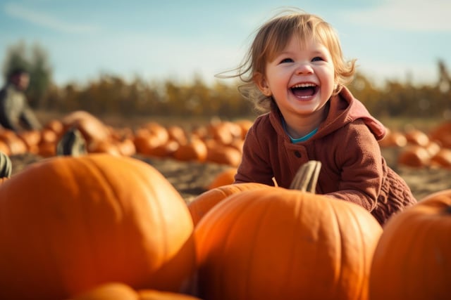 Mr Pumpkin at Lime Farm, Mansfield Road, Morley is open on selected dates between October 1 to 31 (generic photo: Adobe Stock)