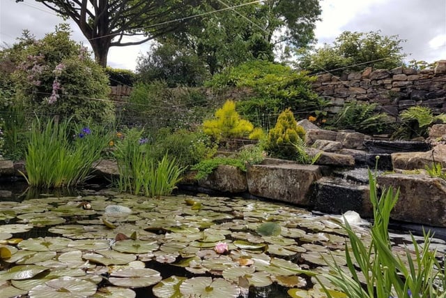 The garden boasts an ornamental pond and water feature.