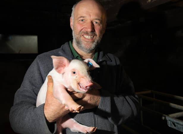 Stephen Thompson, at Povey Farm on Lightwood Lane, Norton says he is losing ‘well over’ £600-a-week due to feeding healthy pigs that should have gone for slaughter.