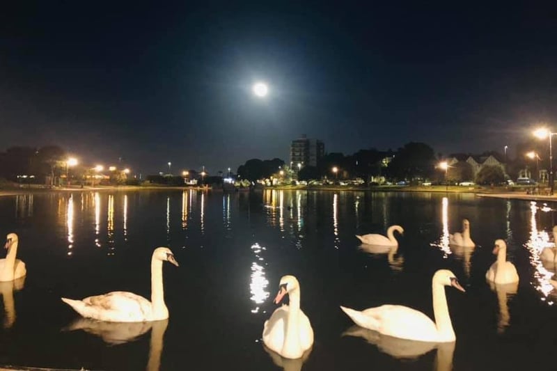 Portsmouth Super Pink Moon: Deanne Ellerton-Lloyd captured its lovely glow over Canoe Lake in Southsea