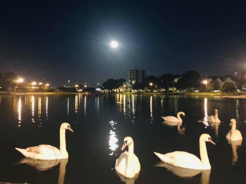 Portsmouth Super Pink Moon: Deanne Ellerton-Lloyd captured its lovely glow over Canoe Lake in Southsea