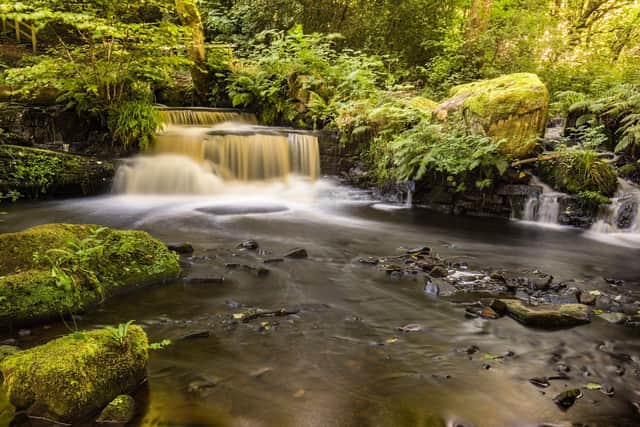 Rivelin Valley waterfall, Sheffield.