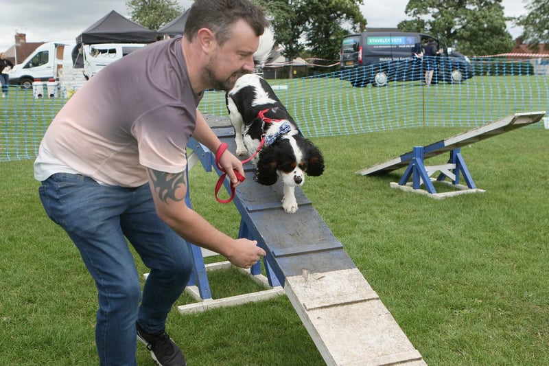 Mark Hudson and Rupert try out the agility course