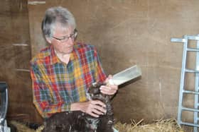 Nick Dowler on farm bottle feeding a lamb
