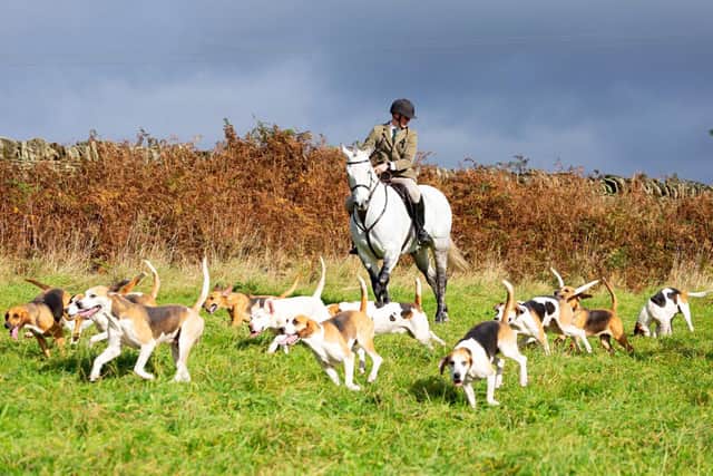 The Barlow Hunt and Holcombe Harriers demonstrated trail hunting at an event in Derbyshire