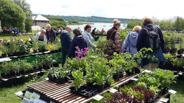 Plant Hunters Fair returns to Carsington Water on Saturday, May 28, 2022.