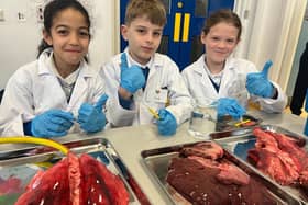 Children were excited to see some lungs in action