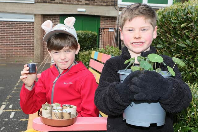 Ben and Frankie have brought plants that they had grown at home. The flowers were later planted in the school's outdoor area.