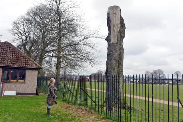 Chesterfield woman Carol Booth was angry the council had left a dead tree outside her garden.