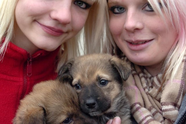 Lauren Smith, left, and Catherine Tanczak with abandoned collie pups Belle and Jingle at St Bernard's Animal Sanctuary, Old Whittington, Chesterfield, in 2007.