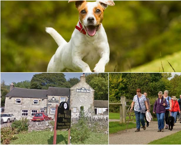 Where will you take your dog for a day out in Derbyshire? Main photo in montage: Shutterstock/Ammit Jack.