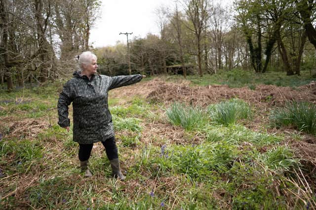 Angela Coupe, 70, on the disputed land in Chesterfield.