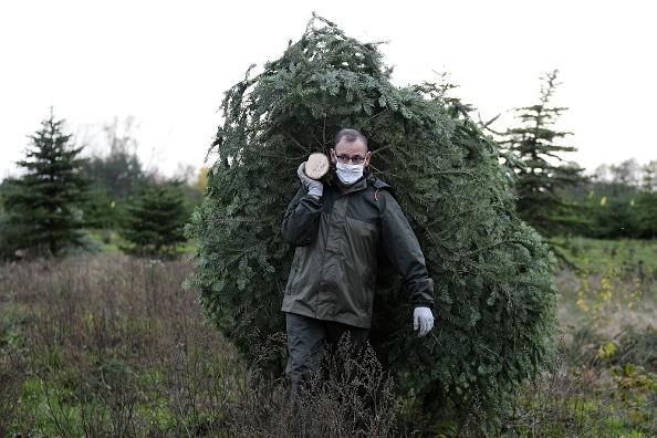 If you travel out towards Barnsley you can get a real Christmas tree from The Billingley Christmas Tree Farm. Call them on, 07811 610359.