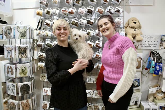 Saffy, Kai and Britt at Eclectic Delights of Serendipity, Chesterfield