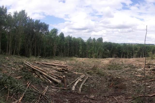 Hucknall Wood has become a scene of 'devastation', according to resident Anne Deak who sent this picture of the alleged deforestation