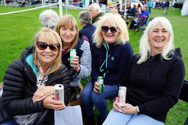 Karen Evans, Jill Frances, Lynn Jarvis, April Wilson enjoy a gin and tonic while watching the horse trials.