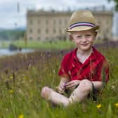 Little boy sitting in wild flowers at Chatsworth (photo: www.shoot-lifestyle.co.uk)