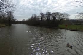 The fishpond at Fishpond Meadows, Ashbourne. Image from the Environment Agency/Google.