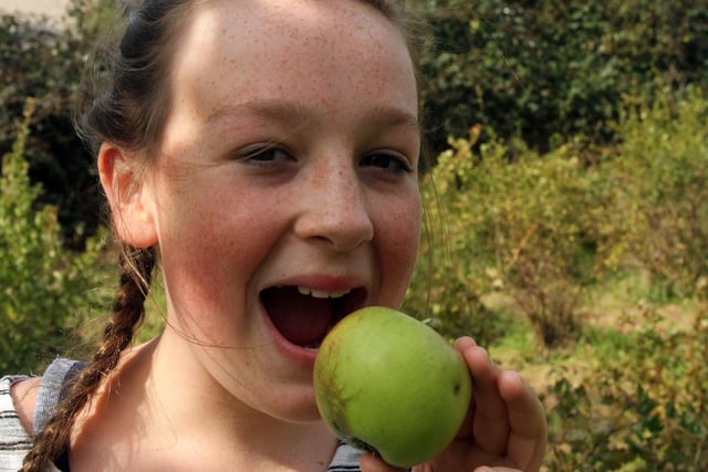 Eve Proctor tries one of the Red Devil apples picked from the orchard.