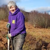 Eastern Moors volunteer Sue Hodgkinson plants a blackthorn.