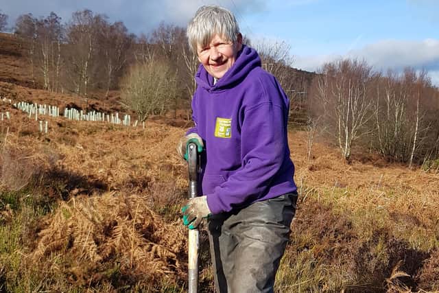 Eastern Moors volunteer Sue Hodgkinson plants a blackthorn.
