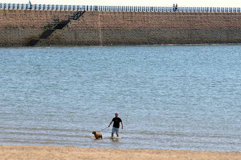 A dog owner can't resist cooling off in the sea at Roker.