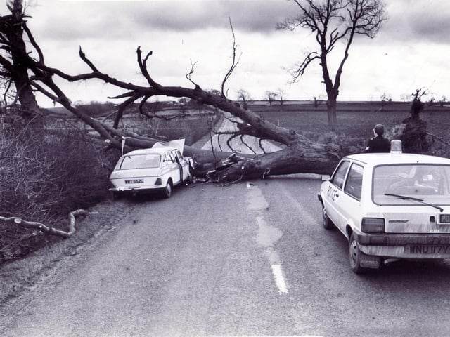 The driver and passenger of this car on the Hardstoft to Tibshelf road near Chesterfield had a lucky escape when a giant tree was blown onto their car in the gales which swept the area today - 15 December 1982