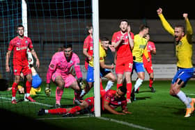 Torquay United players celebrate as Asa Hall scores the winner in stoppage time.