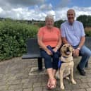 Ian and Heather Williams, who live in Staveley, Chesterfield, were helping to train Derek, a yellow Labrador since October 2021. Derek, who turned 2 earlier this week, left the couple in February this year to complete further training. He is set to help epilepsy sufferers in the future.