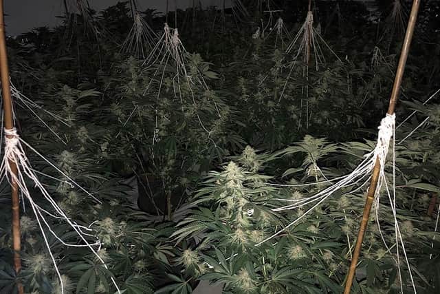 Man arrested following warrant at a property in South Normanton.