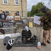 Pantomime of camo-wearing shooters brandishing guns, while a badger costumed protestor is trapped in a cage, brought to life the shocking reality of the cull.
