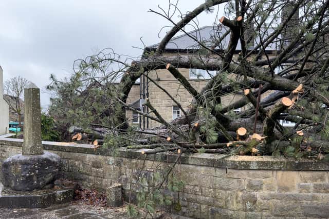 Tree damage in Great Hucklow. Picture Village Jim