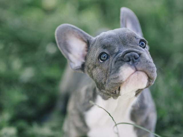80,400 searches on average per month (Photo: Shutterstock)