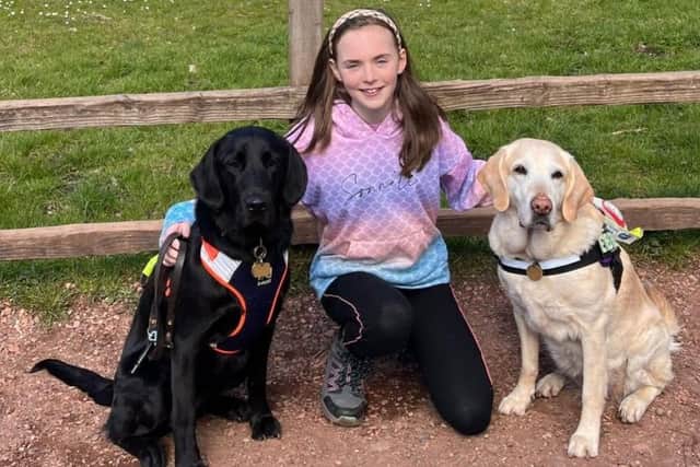 Lily with guide dog Jacqui and retired guide dog Minnie.