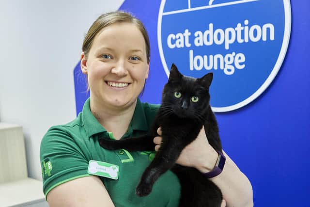 Chesterfield's RSPCA centre is able to rehome animals again.