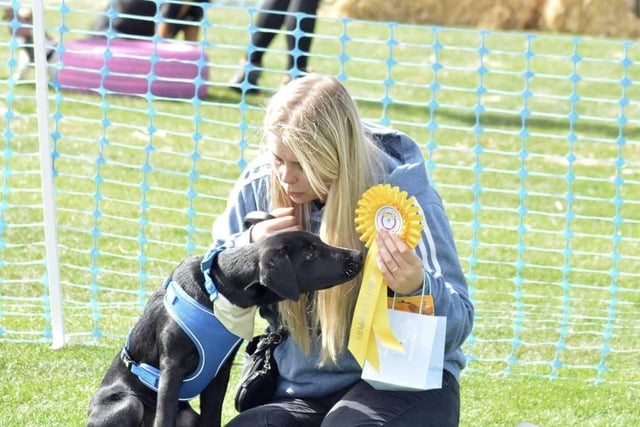 Another prize-winning pooch sniffs out their success