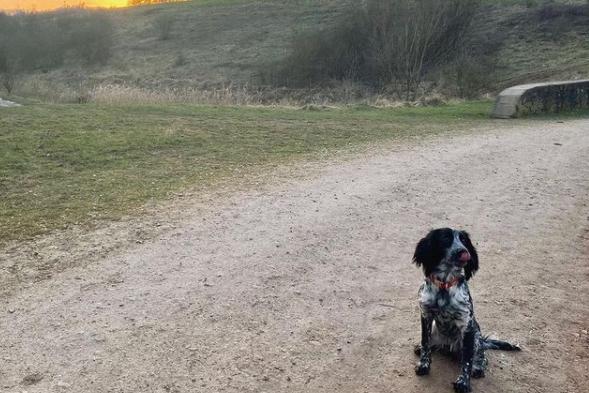 Lovely weather for a walk. From @samjaneinga