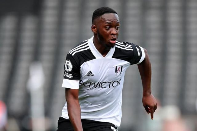 Can operate in multiple positions including out wide or in the No 10 position and will give Boro more attacking firepower for the second half of the campaign after signing on loan from Fulham.
