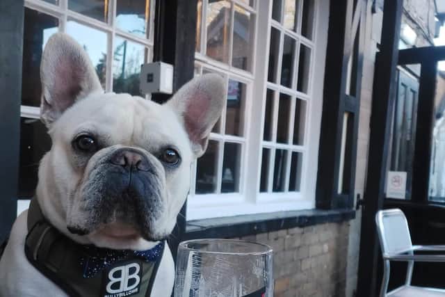 Will you be joining Spud, a resident of Bolsover, on the Chesterfield Great Historic Pub Tour?