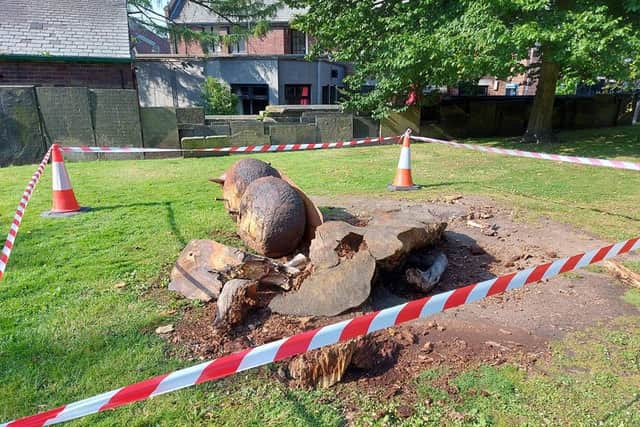 Outcome of fire investigation after Chesterfield's bee sculpture destroyed