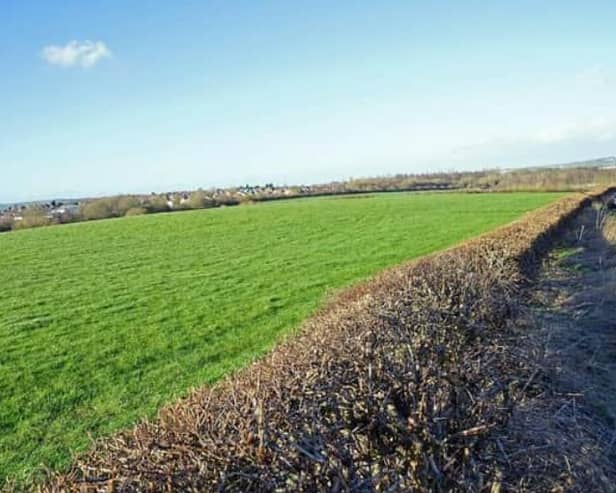 Barratt David Wilson Homes Has Been Given The Go Ahead For A Residential Scheme For 400 Homes On Greenfield Land At Staveley